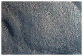Layers and Flow Features in Protonilus Mensae
