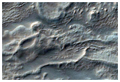 Landforms in Palikir Crater
