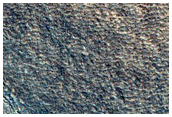 Northern Plains Ridge
