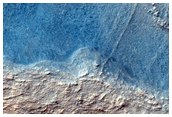 Reticulate Terrain in Hellas Planitia
