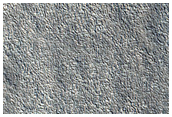 Plains Near Erebus Montes
