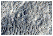 Volcanic Flow Features in Southern Elysium Planitia
