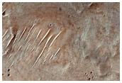 Central Region of Crater Floor
