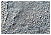Contact in Western Hellas Planitia
