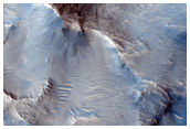 Phyllosilicates in Grouping of Small Craters

