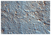 Floor of Milankovic Crater
