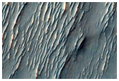 Ridges and Mesas in Noachis Terra
