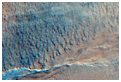 Gullies in Northern Mid-Latitude Crater
