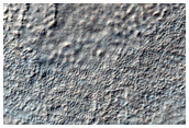 Contact in Western Hellas Planitia

