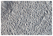 Northern Mid-Latitude Crater Floor Features

