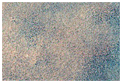 Northern Plains Sample
