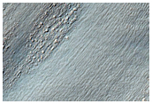 Flow in Crater Northwest of Hellas Planitia
