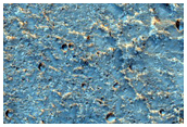 Candidate ExoMars Landing Site in Oxia Palus Region
