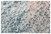 Polygons in Northern Plains Crater

