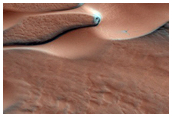 Track Dune-Alcove Changes within Chasma Boreale Dunes
