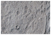 Wrinkle Ridges and Knobs in Schiaparelli Crater
