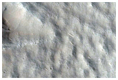 Rifts and Pitted Cones in Utopia Planitia
