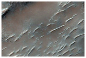 Potential Mud Volcanism within Huygens Crater

