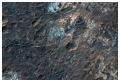 Light Toned Possible Phyllosilicates in Margaritifer Terra