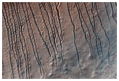 Slingerende geulen in Hellas Planitia