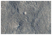 Candidate Red Dragon Landing Site in Arcadia Planitia
