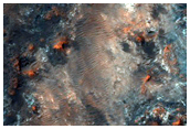 Darpar Fan Glanio ExoMars ym Mawrth Vallis