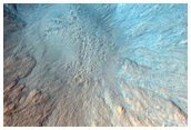 Well-Preserved Impact Crater in Acidalia Planitia
