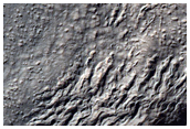 Flow Feature Northwest of Hellas Planitia
