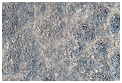 Polygon Surface in Deuteronilus Mensae
