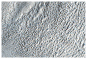 Lines of Pits in Protonilus Mensae
