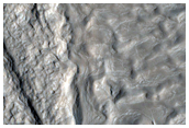 Flow in Northern Mid-Latitudes
