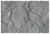 Candidate Red Dragon Landing Site in Arcadia Planitia
