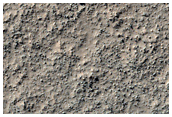 Mid-Latitude Terrain Sample
