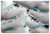 Gypsum Dunes
