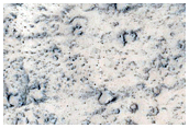Lines of Cones in Tartarus Montes

