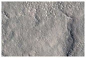 Candidate Red Dragon Landing Site in Arcadia Planitia
