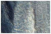 Glacial Tongue
