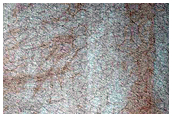Teardrop Defrosting Features on Dunes
