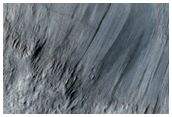 Lava Contacts in Elysium Planitia Region
