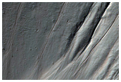 Gullies in Crater in THEMIS Image V26305006
