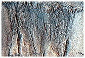 The Evolution of Gully Features in Acidalia Planitia