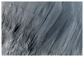 Lava Contacts in Elysium Planitia Region
