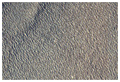 Northern Plains Contact
