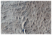 Terrain on Olympus Mons Aureole