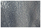 Flow Features in Erebus Montes

