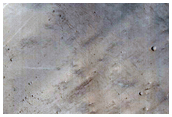 Possible Phyllosilicates in Northern Rim of 38-Kilometer Crater in Arabia Terra
