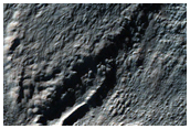 Monitor Frost in Gullies
