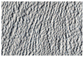 Brain Terrain North of Cerulli Crater
