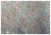 Terrain in Northern Plains
