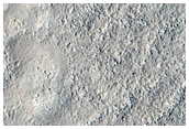 Contact in Utopia Planitia
